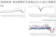 兰格钢铁网: 新加坡铁矿石掉期合约121美元 涨幅达1.11%