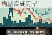 中核钛白(002145.SZ)：副董事长沈鑫累计增持2%股份 增持实施完毕