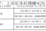 达瑞电子：上半年净利预增 429.76%-532.29%