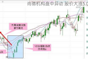 尚德机构盘中异动 股价大涨5.01%