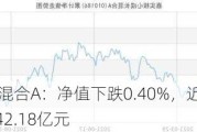 嘉实核心成长混合A：净值下跌0.40%，近6个月收益率-7.24%，规模42.18亿元