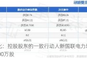 中南文化：控股股东的一致行动人新国联电力增持公司股份1000万股