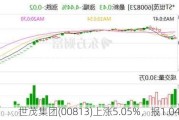 世茂集团(00813)上涨5.05%，报1.04元/股