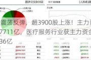 A股弱势震荡反弹，超3900股上涨！主力资金共流出40.7711亿，医疗服务行业获主力资金净流入10.36亿