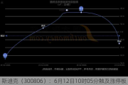 斯迪克（300806）：6月12日10时05分触及涨停板