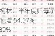 杭州柯林：半年度归母净利润预增 54.57%-73.89%