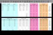 万泽股份:万泽股份关于股票期权注销完成的公告