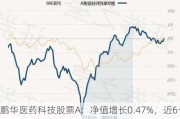 鹏华医药科技股票A：净值增长0.47%，近6个月收益率-11.64%