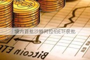 境内首批沙特阿拉伯ETF获批