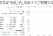 宁圣国际盘前涨超13% 鸡蛋业务总规模取得重大突破