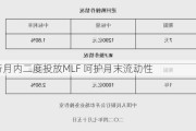 央行月内二度投放MLF 呵护月末流动性