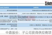 中鼎股份：子公司获得供应商项目定点书