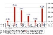 仕佳光子：预计2024年上半年净利润为1195万元左右