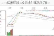 仁东控股：6 月 14 日涨超 7%