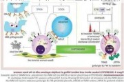 葛兰素史克抗癌药物Blenrep显著降低死亡风险 有望重获监管批准