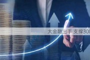 大金融出手 支撑3000点