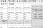 新黄浦：预计2024年上半年净利润为2100万元 同比减少71%左右