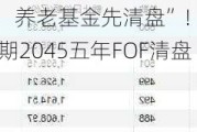 “人还没退休，养老基金先清盘”！亏超17% 平安养老目标日期2045五年FOF清盘