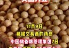 美国大豆出口检验量：截至2024年5月16日为184128吨，同比减少约60%