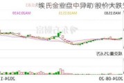 埃氏金业盘中异动 股价大跌5.01%