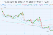 扬宇科技盘中异动 早盘股价大跌5.36%