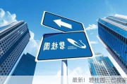 最新！碧桂园：已报案