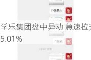 学乐集团盘中异动 急速拉升5.01%