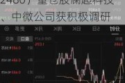 外资机构四季度重点关注半导体，半导体ETF（512480）重仓股澜起科技、中微公司获积极调研