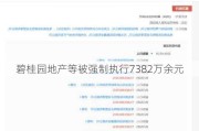 碧桂园地产等被强制执行7382万余元