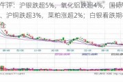 期货午评：沪银跌超5%，氧化铝跌超4%，国际铜、沪镍、沪铜跌超3%，菜粕涨超2%；白银看跌期权整体减仓