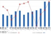 金鹰基金：市场短期或仍将震荡承压 均衡配置应对“意外情形”