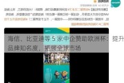 海信、比亚迪等 5 家中企赞助欧洲杯：提升品牌知名度，拓展全球市场