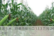 美国玉米：向墨西哥出口 13.3 万吨 24/25 交付