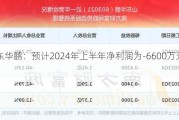 山东华鹏：预计2024年上半年净利润为-6600万元左右