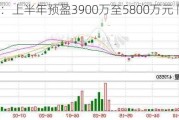 新华联：上半年预盈3900万至5800万元 同比扭亏