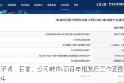 电子城：目前，公司REITs项目申报发行工作正在推进中