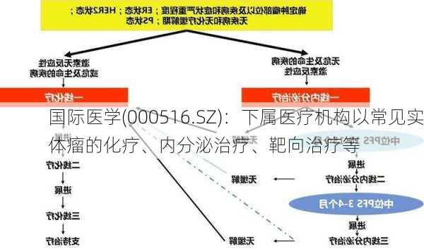 国际医学(000516.SZ)：下属医疗机构以常见实体瘤的化疗、内分泌治疗、靶向治疗等