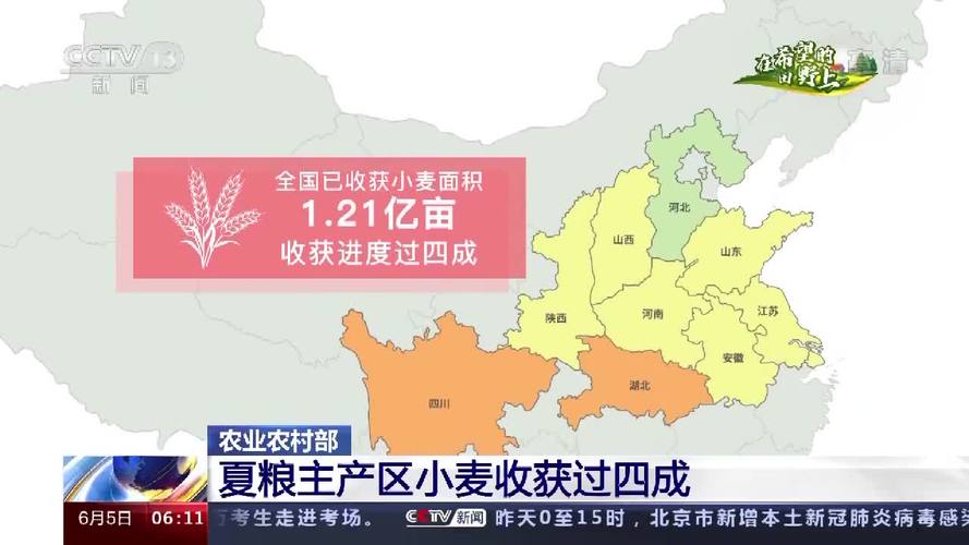 一图读懂全国小麦主产区实况