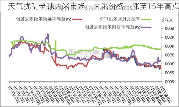 天气扰乱全球大米市场，大米价格上涨至15年高点