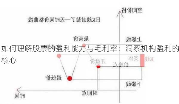 如何理解股票的盈利能力与毛利率：洞察机构盈利的核心