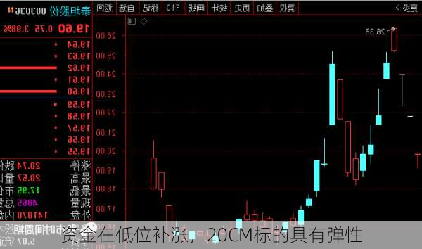 资金在低位补涨，20CM标的具有弹性