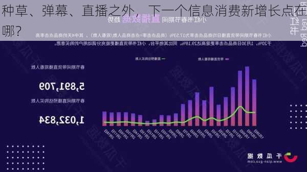 种草、弹幕、直播之外，下一个信息消费新增长点在哪？