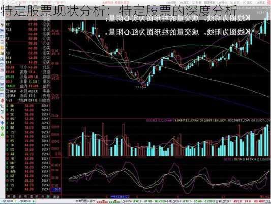 特定股票现状分析：特定股票的深度分析