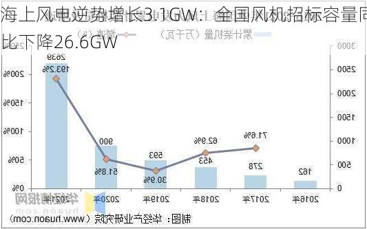 海上风电逆势增长3.1GW：全国风机招标容量同比下降26.6GW