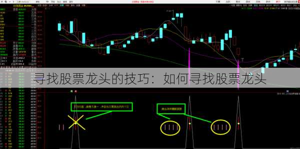 寻找股票龙头的技巧：如何寻找股票龙头