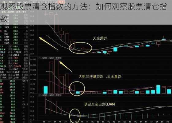 观察股票清仓指数的方法：如何观察股票清仓指数