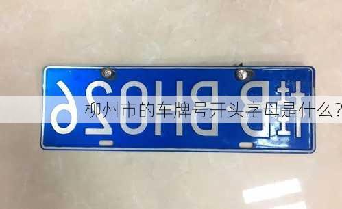 柳州市的车牌号开头字母是什么？