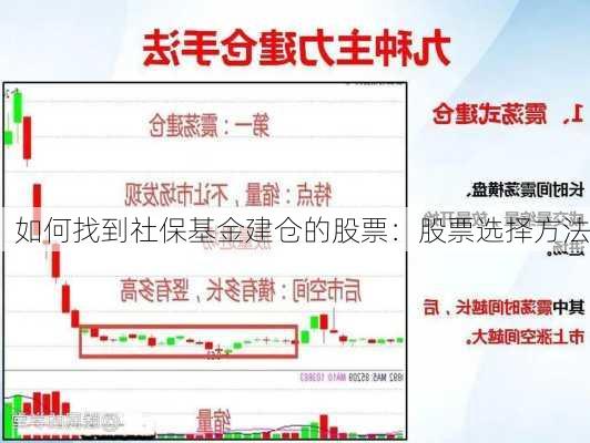 如何找到社保基金建仓的股票：股票选择方法