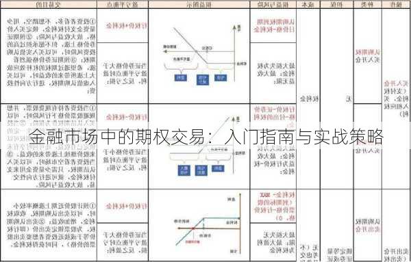 金融市场中的期权交易：入门指南与实战策略