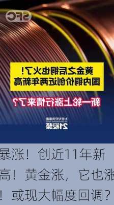 暴涨！创近11年新高！黄金涨，它也涨！或现大幅度回调？